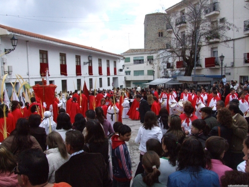 15.12.04.005. La Pollinica. Semana Santa, 2007. Priego de Córdoba.