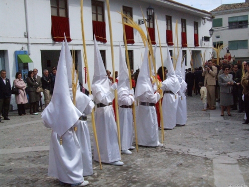15.12.04.012. La Pollinica. Semana Santa, 2007. Priego de Córdoba.