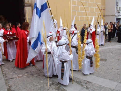 15.12.04.018. La Pollinica. Semana Santa, 2007. Priego de Córdoba.