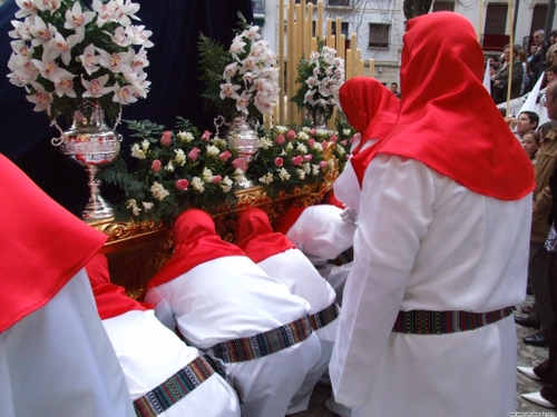 15.12.04.023. La Pollinica. Semana Santa, 2007. Priego de Córdoba.