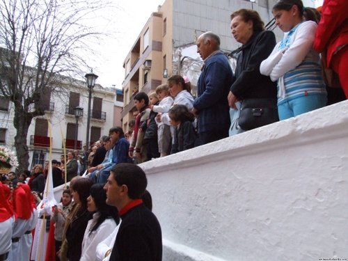 15.12.04.024. La Pollinica. Semana Santa, 2007. Priego de Córdoba.