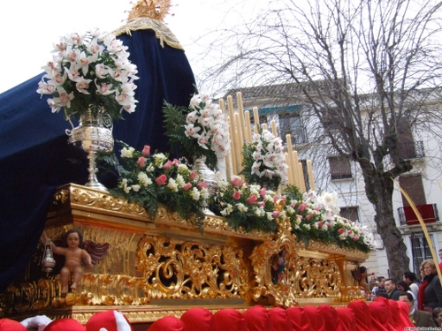 15.12.04.026. La Pollinica. Semana Santa, 2007. Priego de Córdoba.