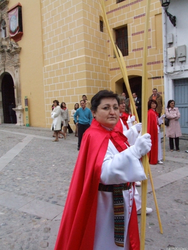 15.12.04.039. La Pollinica. Semana Santa, 2007. Priego de Córdoba.