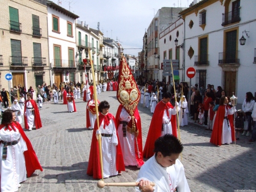 15.12.04.054. La Pollinica. Semana Santa, 2007. Priego de Córdoba.
