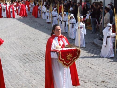 15.12.04.057. La Pollinica. Semana Santa, 2007. Priego de Córdoba.