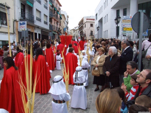15.12.04.086. La Pollinica. Semana Santa, 2007. Priego de Córdoba.