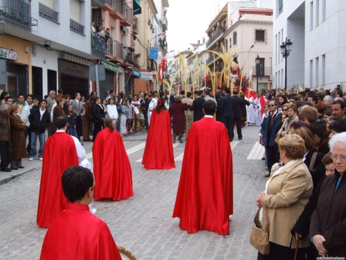 15.12.04.098. La Pollinica. Semana Santa, 2007. Priego de Córdoba.