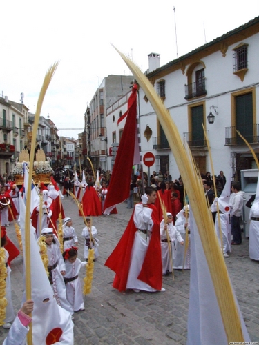 15.12.04.106. La Pollinica. Semana Santa, 2007. Priego de Córdoba.