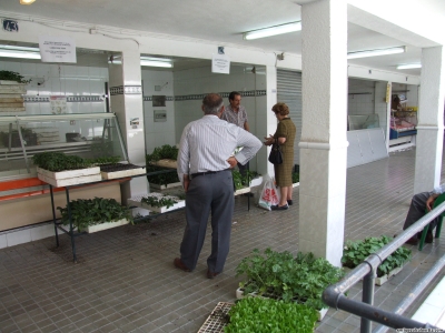 13.07.29. Mercado Municipal de Abastos. Priego, 2007.