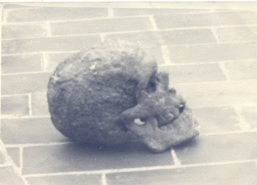 10.02.15. Restos humanos fosilizados. Museo Municipal.