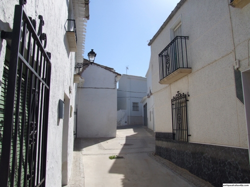 11.05.01.077. Zamoranos. Priego de Córdoba, 2007.