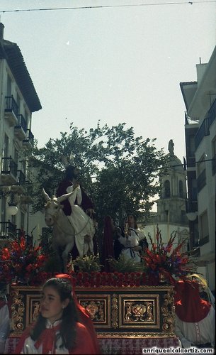 La Pollinica. Semana Santa, 1997. Priego. Foto, Arroyo Luna.