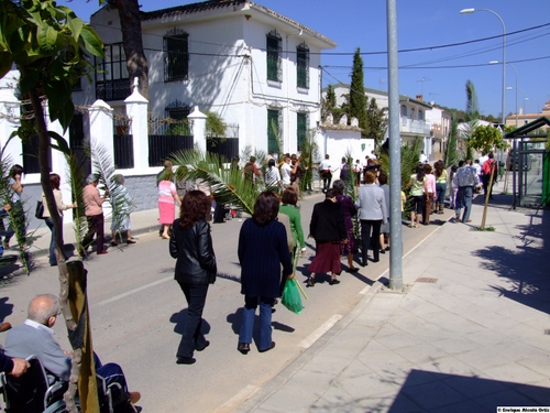 27.04.33. Zamoranos. Priego. Virgen Niña el domingo de Ramos, 2008.