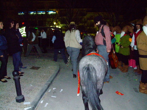 18.10.06.045. Desfile de Carnaval, 2008.
