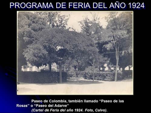 028. Programa de Feria del año 1924.