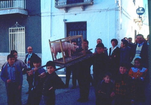 0043.170192. San Antón en Castil de Campos.
