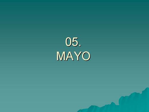 0.05. Mayo