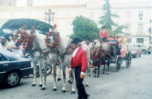 1138.080892. Carroza de caballos en el Paseíllo.