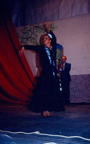 1243.280892. XV Festival Flamenco. Ana Rodríguez.