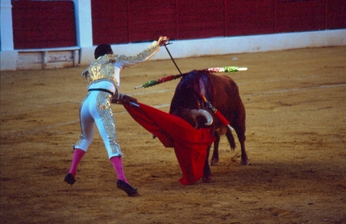 1358.030952. Corrida de Feria. Morenito de Maracay.