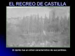 03.02.06. Recreo de Castilla.