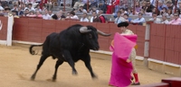 Curro Jiménez, en la plaza de Los Califas