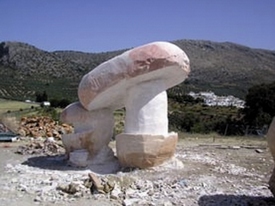 . Hongo gigante en el Jardín Micológico de Zagrilla.