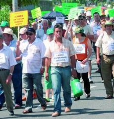 Los afectados de las Almazaras de manifestación en Córdoba.