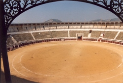 Plaza de Toro. (M. Osuna)