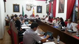 Pleno Municipal. (R. Cobo).