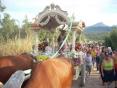 Romería Virgen de la Cabeza de Priego